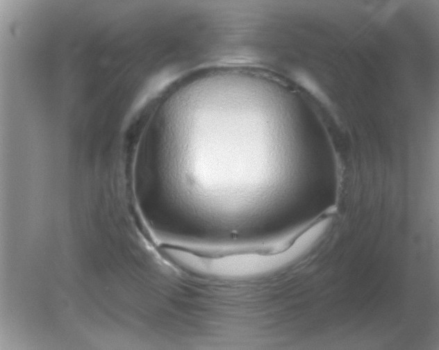 X0000081611456200701221150