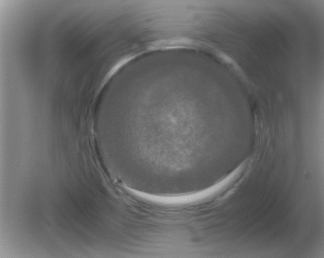 X0000081611457200701221150