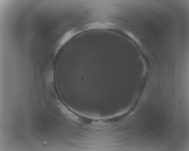 X0000081611459200701221150