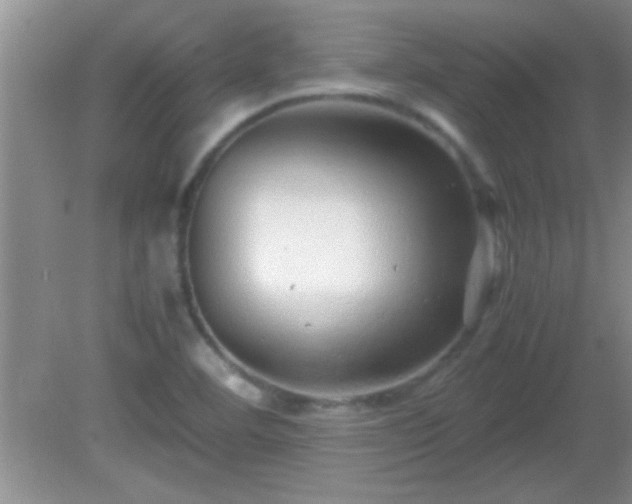 X0000081611460200701221150