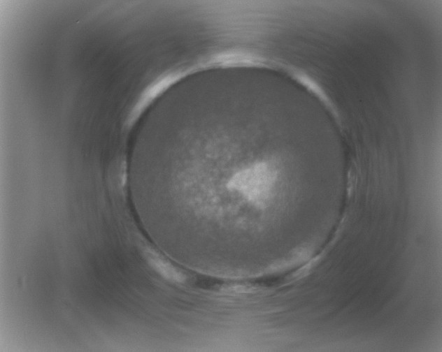 X0000081611461200701221150