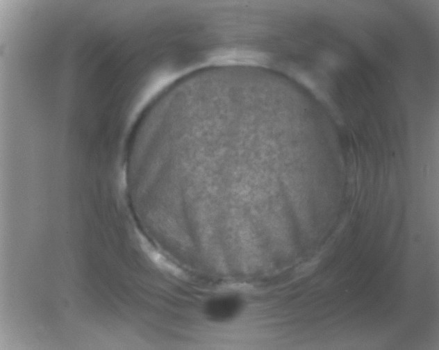 X0000081611462200701221150