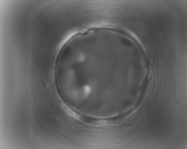 X0000081611463200701221150