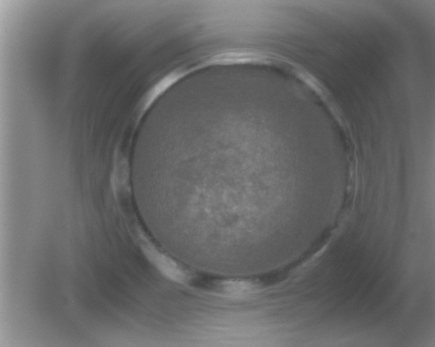 X0000081611465200701221150