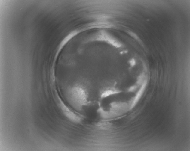 X0000081611466200701221150