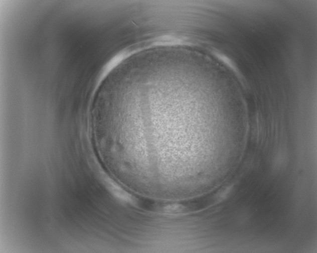 X0000081611467200701221149