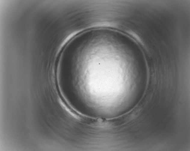 X0000081611468200701221149