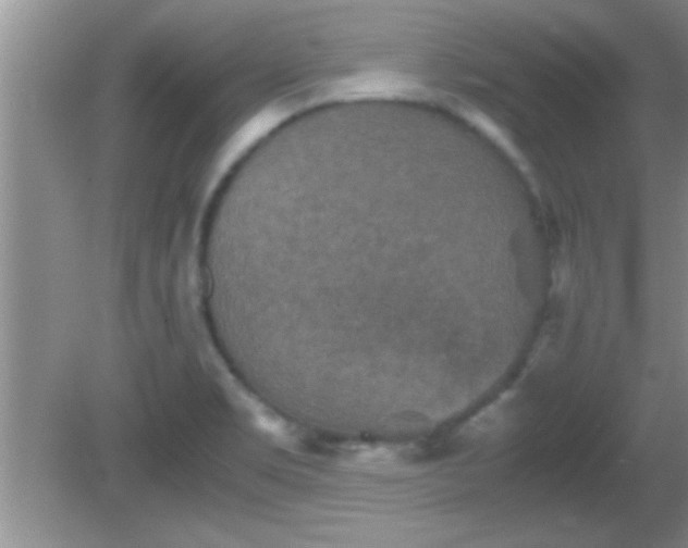 X0000081611469200701221149