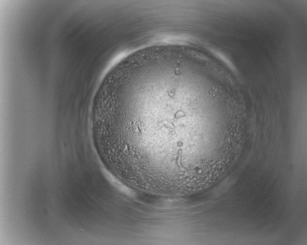 X0000081611471200701221149