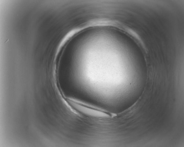 X0000081611472200701221149