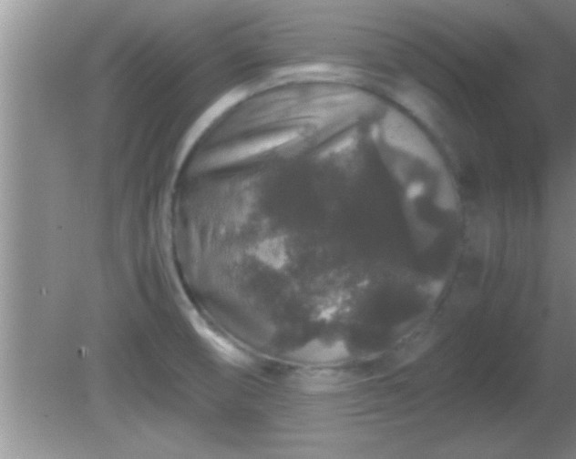 X0000081611474200701221149