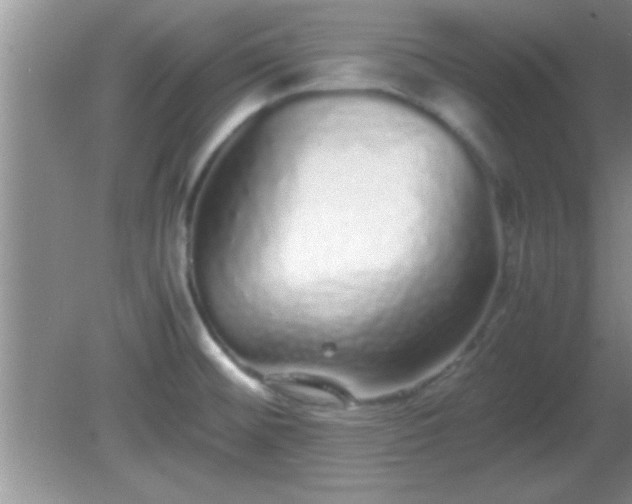 X0000081611476200701221149