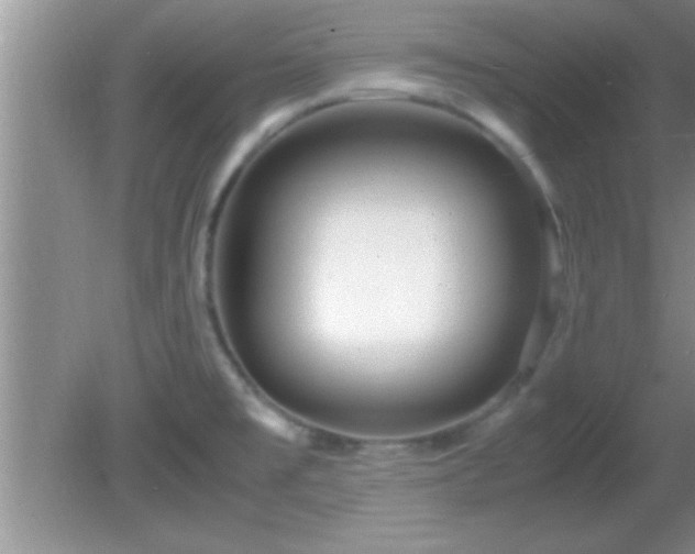 X0000081611477200701221149