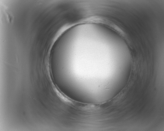 X0000081611478200701221149