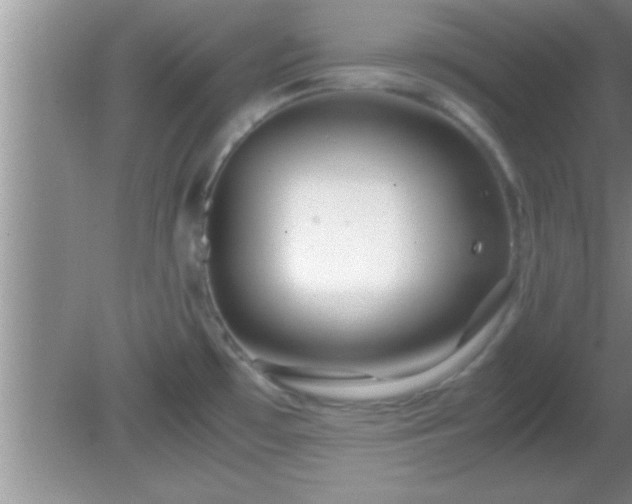 X0000081611481200701221149