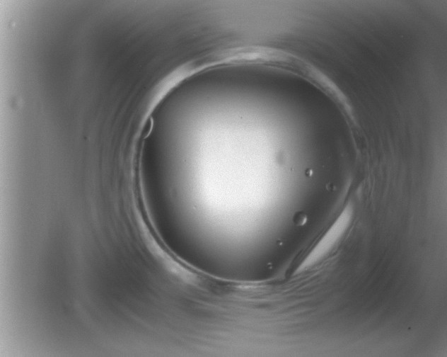 X0000081611483200701221149