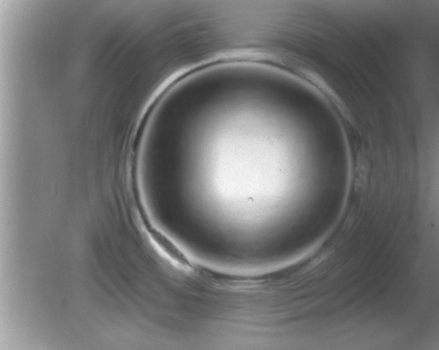 X0000081611484200701221149