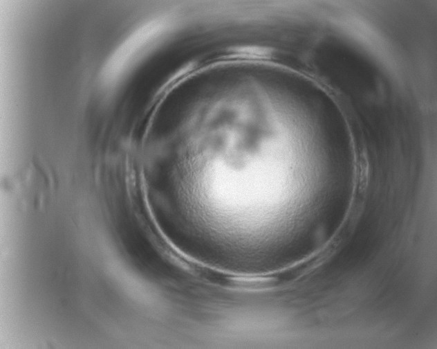 X0000081611487200701221149