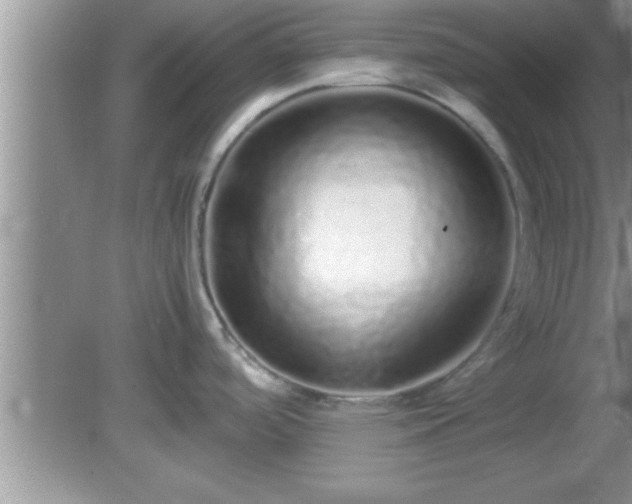 X0000081611488200701221149