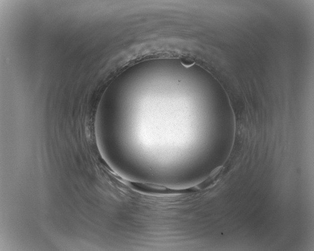 X0000081611490200701221148