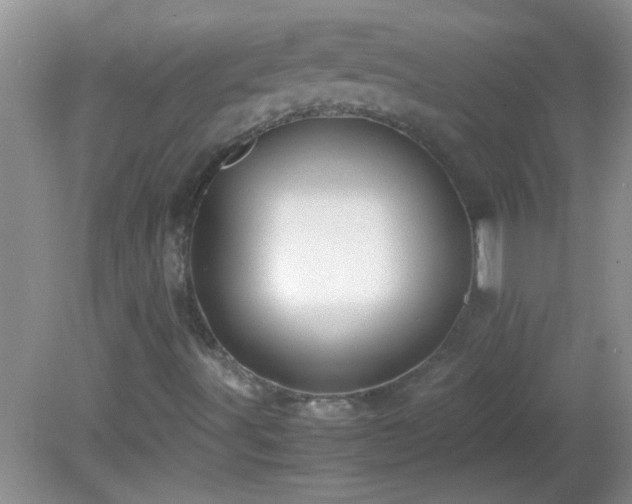 X0000081611491200701221148