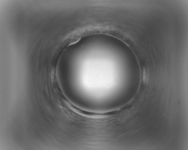 X0000081611492200701221148