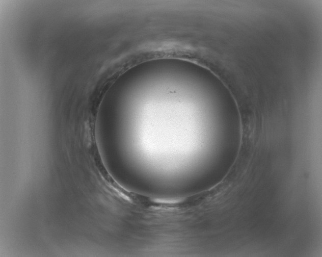 X0000081611493200701221148