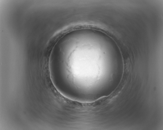 X0000081611494200701221148