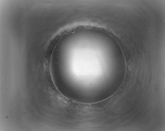 X0000081611495200701221148