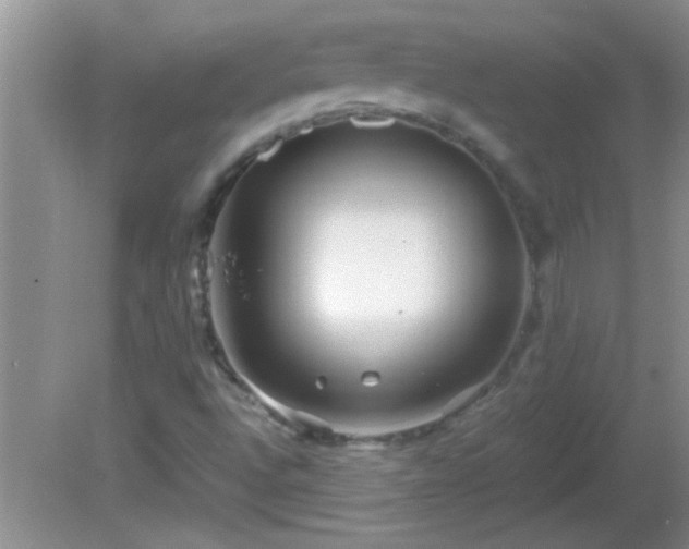 X0000081611496200701221148