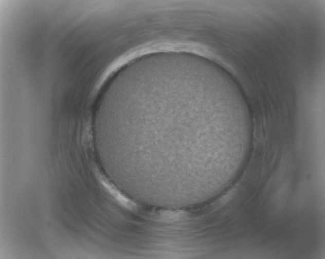 X0000081611498200701221148