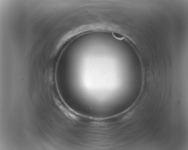 X0000081611499200701221149