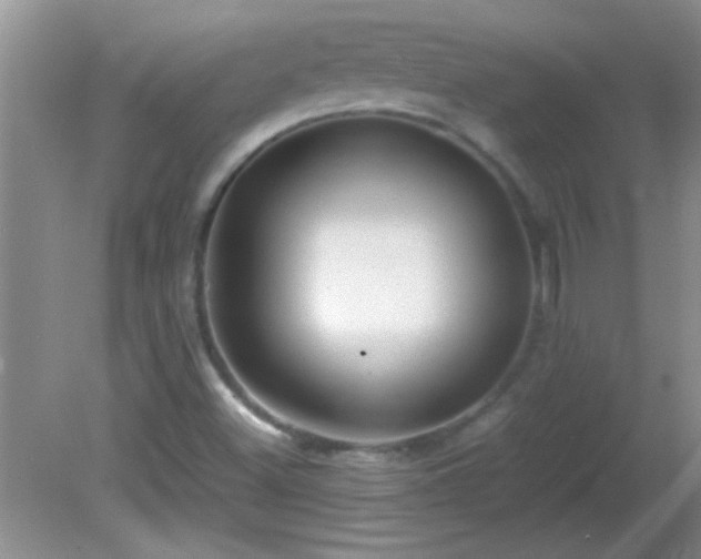 X0000081611500200701221149