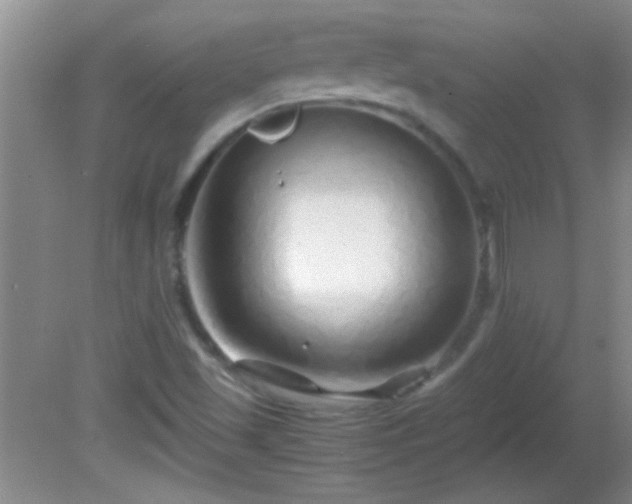 X0000081611501200701221149