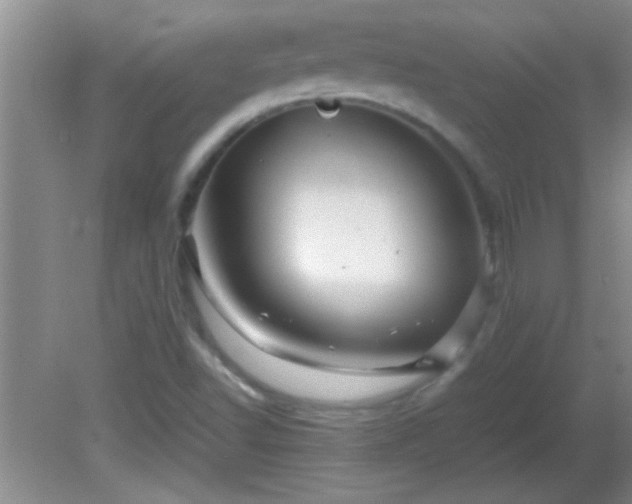 X0000081611502200701221149