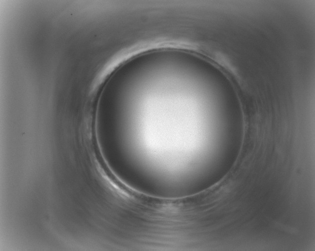 X0000081611504200701221149