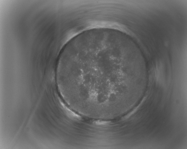 X0000081611505200701221149