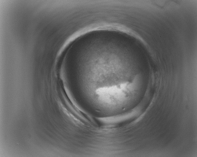 X0000081611506200701221149