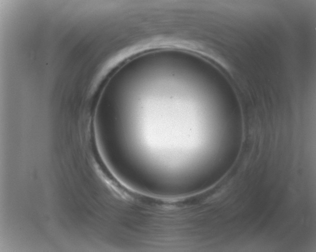 X0000081611507200701221149