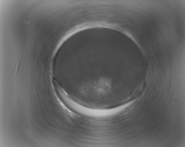 X0000081611508200701221149