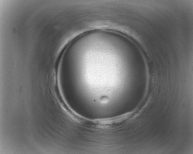 X0000081611509200701221149