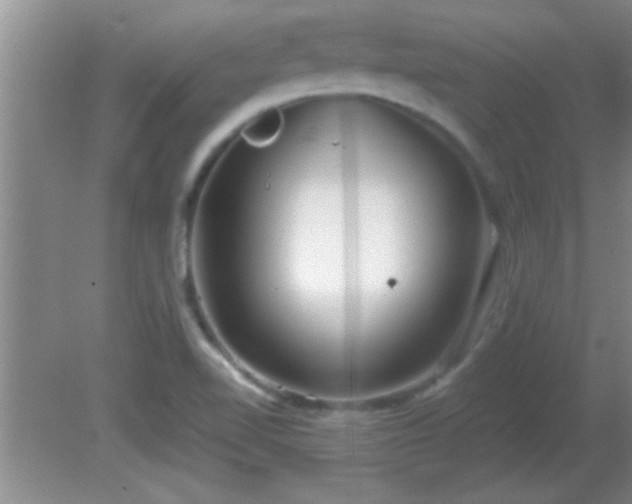 X0000081611510200701221149