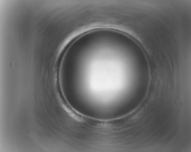 X0000081611511200701221149