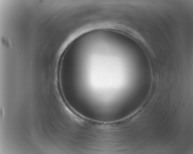 X0000081611512200701221149