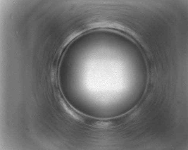 X0000081611513200701221149