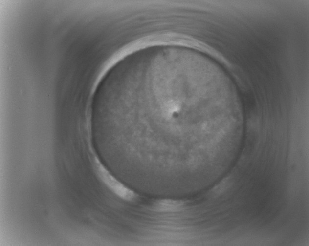 X0000081611514200701221149