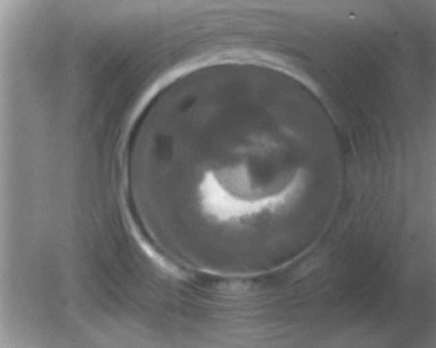 X0000081611515200701221149