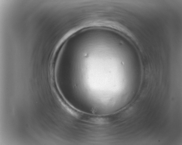 X0000081611517200701221149