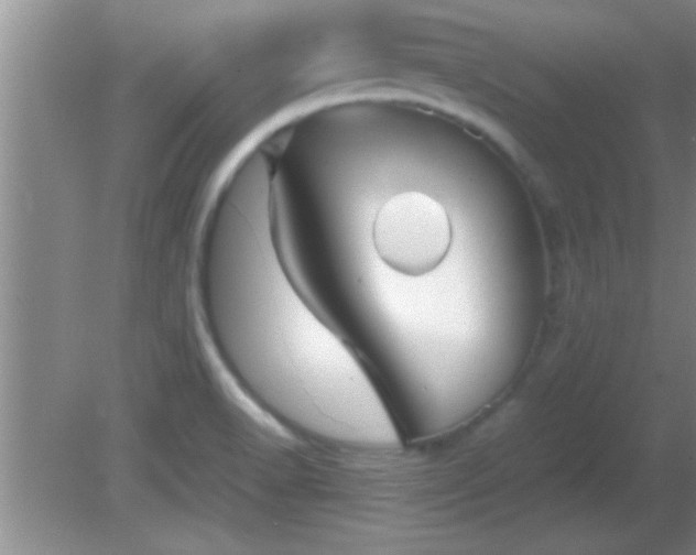 X0000081611518200701221149