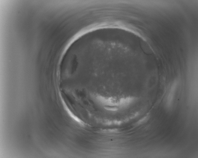 X0000081611519200701221149